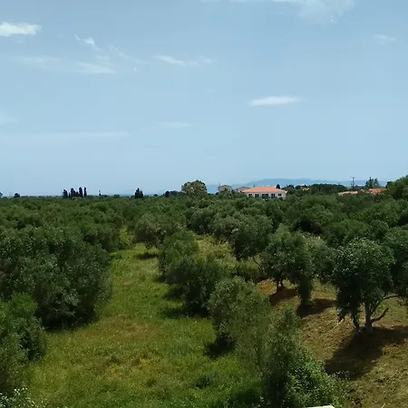 Hotel apartamentowy Casa De Rosa & 4*